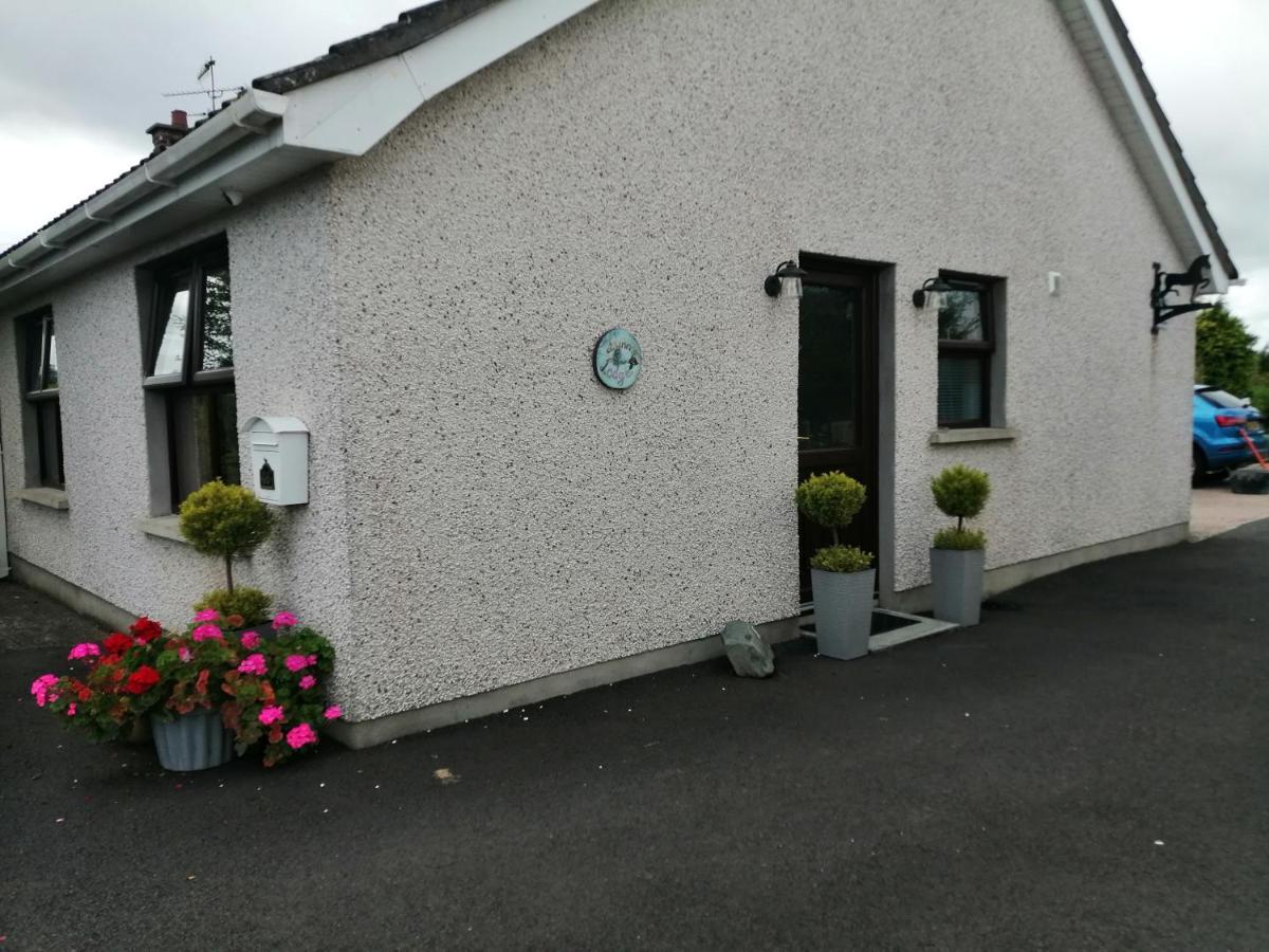 Lynn'S Lodge, International Airport 15Mins Randalstown Экстерьер фото